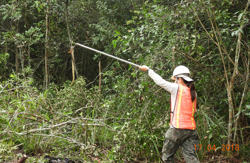 Resgate-de-Fauna-(1)